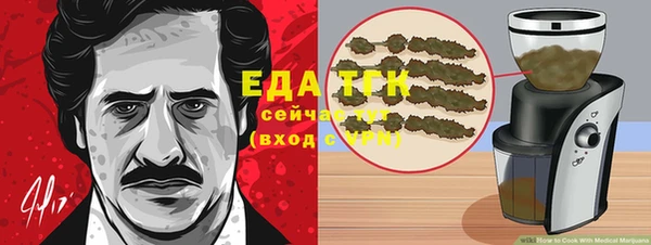 спиды Богданович