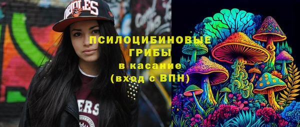 спиды Богданович