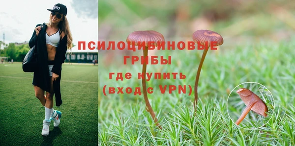 спиды Богданович