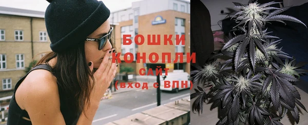 спиды Богданович