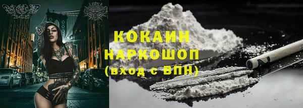 спиды Богданович