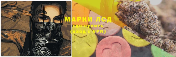 спиды Богданович